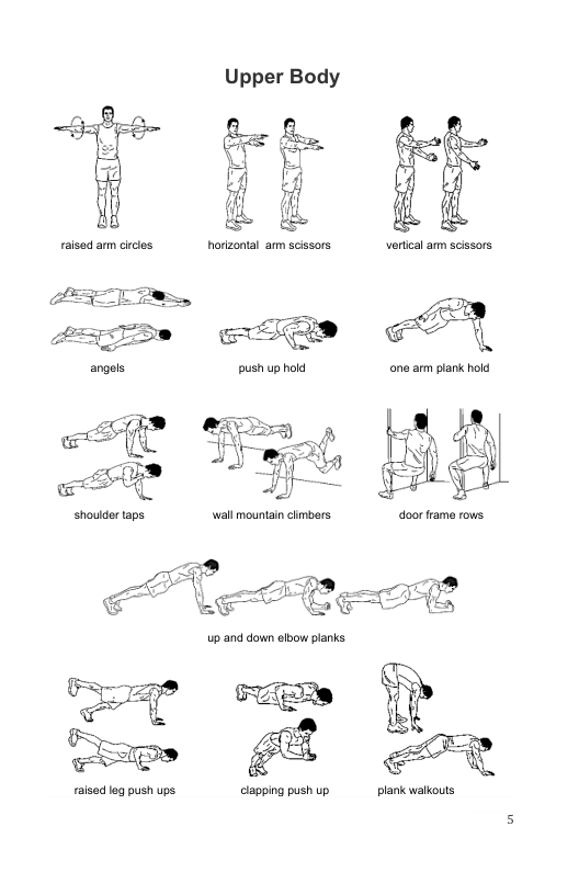 Upper Body  